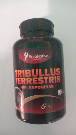 Fitoterápicos